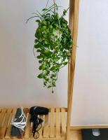 Căn Hộ Nghỉ Dưỡng Melody Vũng Tàu - Tomorrow HomeStay 3 - Ferienwohnung