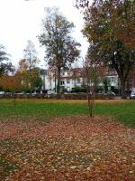 Rare à Colmar - Appartement Champ de Mars vue sur Parc - 70m2 - 2 chambres - B&B Colmar