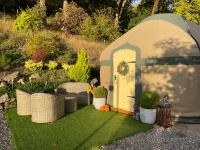 B&B Llangollen - Thistlebank Yurt - Bed and Breakfast Llangollen