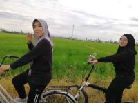 Chalet kolam renang D'sawah C - Ferienwohnung Sungai Besar