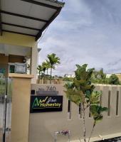 JOE Homestay - B&B