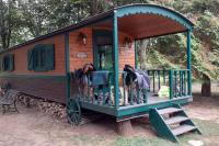 La Roulotte du Moulin de Rebets - Ferienwohnung Rebets