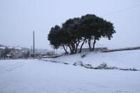 Livadi Suites - B&B Arachova