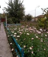 Koncha- Zaspa Lake & Garden Guest House Голосеевський район Киева под лесом - B&B Kyiv