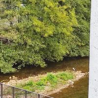 Apartamento Amezti - Bed and Breakfast
