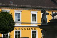 B&B Wallsee - Gasthof Grünling - Bed and Breakfast Wallsee