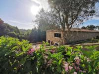 B&B Sintra - Vitorino Deluxe - Bed and Breakfast Sintra