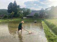 一汁一菜の宿 ちゃぶダイニング Ichiju Issai no Yado Chabu Dining, A Private Farmstay in Rural Kyoto - Chambres d'hôtes Ayabe