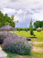 Finca el Colibrí - B&B San Rafael