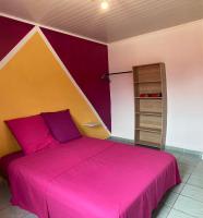 Le petit cactus 2 - B&B Bras-Panon