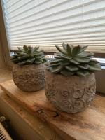 Lagerhaus Gabriel-Oasen in der Stadt - B&B Zweibrücken