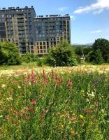 Nature View Designer Studio - B&B Tsaghkadzor