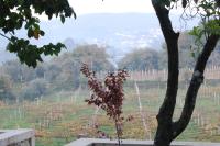 Casa do Carvalho - Ponte de Lima - Ferienwohnung Ponte de Lima