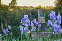 Estudio con vistas al jardín