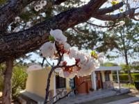 SOL Y LUNA - B&B Huerta Grande