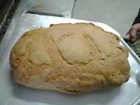 Bio Agriturismo Il Torrione - B&B Saturnia