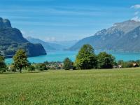 Gemütliche Ferienwohnung zwischen See und Bergen - B&B Brienz
