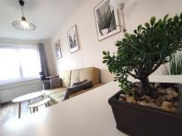 B&B Rybnik - ***Casablanca Apartament*** - 40m² ✓ - Bed and Breakfast Rybnik