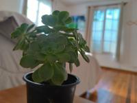 Doppelzimmer mit Gemeinschaftsbad