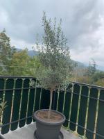 B & B CA’ D’ OLINA - B&B