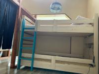 Bunk Bed in Mixed Dormitory Room