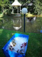 Tarentilos - B&B Tzaneen