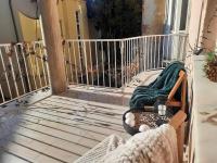 Old town Boheme Apartment - B&B Timisoara