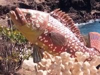 Casa candelaria - B&B Arinaga