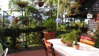Bosque de Niebla Birding & Nature - Ferienwohnung