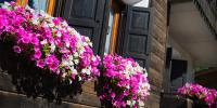 Casa Faifer mountain holiday Livigno - B&B