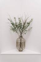 Water's Edge - B&B Culburra Beach