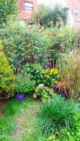 Atelier & Gardenhouse Glamping - B&B Monaco di Baviera