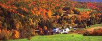 Charming 120-year-old farmhouse by the creek. - B&B
