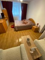 Central Park Studio - Ferienwohnung Piatra Neamţ