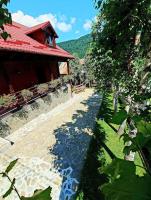Old Mark's House Sinaia - B&B