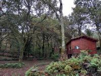 Cabaña con vistas al jardín