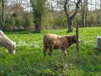 Maison Indépendante 5 Chambres avec Jardin - Animaux Bienvenus - FR-1-581-75 - Chambres d'hôtes Fontenay-sur-Eure