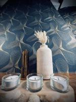 Casa Wellness Floreffe jacuzzi - B&B Floreffe