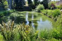 Au Calme Absolu chez Elodie & Aurélien - Bed and Breakfast Lindry