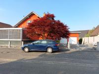 Sonnige Ferienwohnung bei Familie Köhler - Ferienwohnung