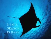 Origami Inn Himandhoo - B&B Himandhoo