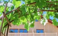 Ferienwohnung zwischen Burghausen und Salzburg - B&B Tittmoning