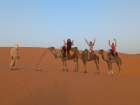 Desert Camel Trekking Camp - B&B Merzouga
