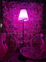 L’angolo rosa - Ferienwohnung Carosino