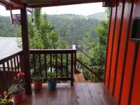 Casa del bosque - B&B San Sebastián Río Hondo