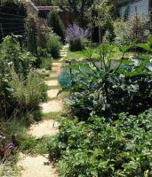 Il piccolo nido - B&B