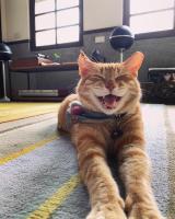 OrigInn Space - Bed and Breakfast Taipei