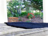 Blue Birds - B&B Oneroa