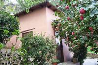 Wonderful 4 Bedroom Villa & separate guest house Villa Thalia - B&B Zagorá