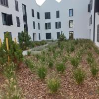 Apartament Orlando w Porto Łeba 350m od morza - B&B Łeba